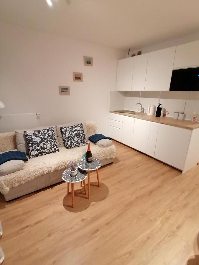 Blue Zet Apartament Sarbinowo Kültér fotó